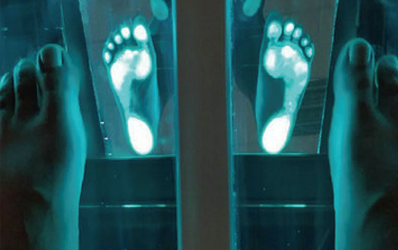 數(shù)據(jù)庫建立